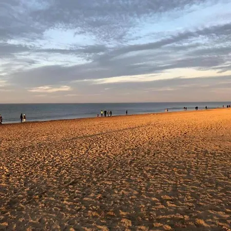 Sablon 501 Seafront In * Koksijde